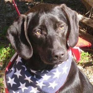 Meet your Posher, Cody